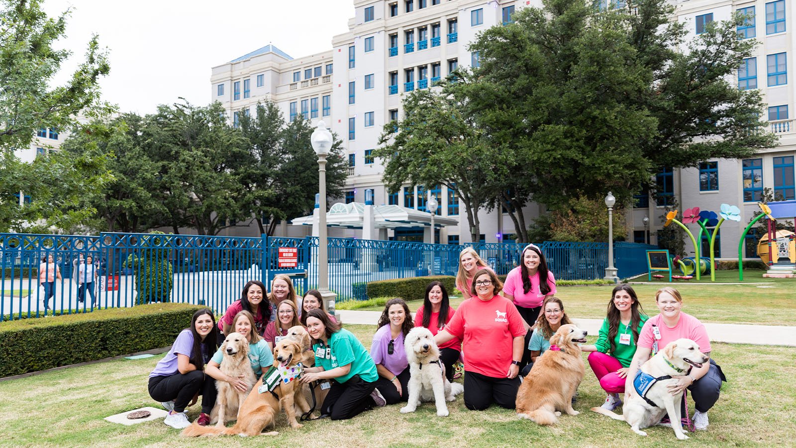 Cook Children's therapy dogs